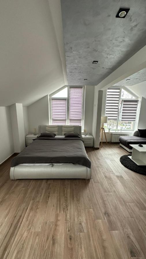 Seti Gorgeous Apartments With Jacuzzi بلغراد المظهر الخارجي الصورة