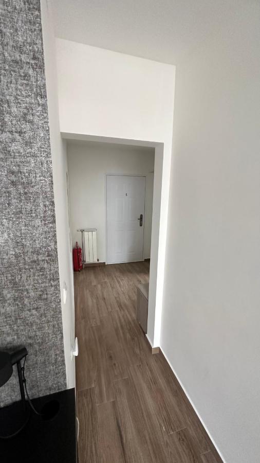 Seti Gorgeous Apartments With Jacuzzi بلغراد المظهر الخارجي الصورة
