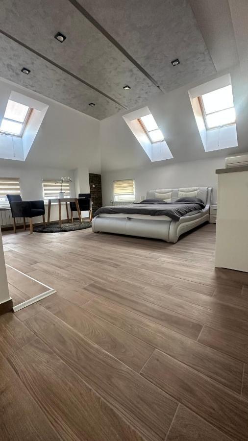 Seti Gorgeous Apartments With Jacuzzi بلغراد المظهر الخارجي الصورة